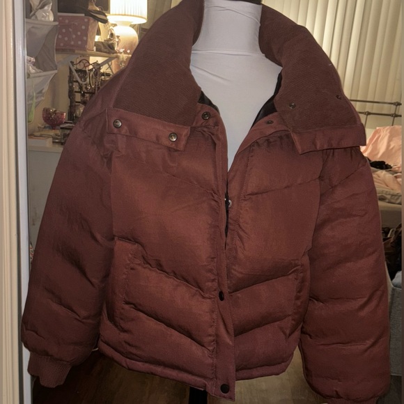 Anthropologie Pilcro Exaggerated Collar Cropped Puffer Jacket - Picture 10 of 11